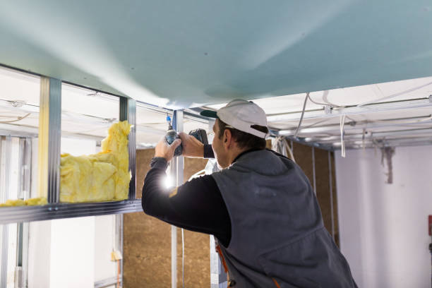 Best Blown-In Insulation  in Lufkin, TX